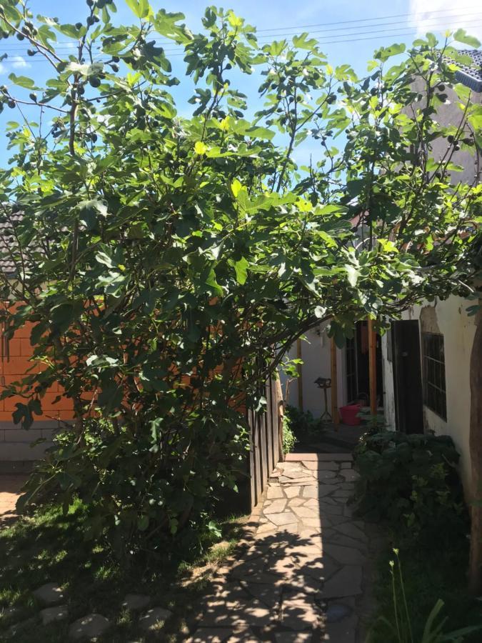 Ferienhaus Rheinperle Mit Garten In Remagen Am Rhein - Naehe Bonn Villa Eksteriør billede