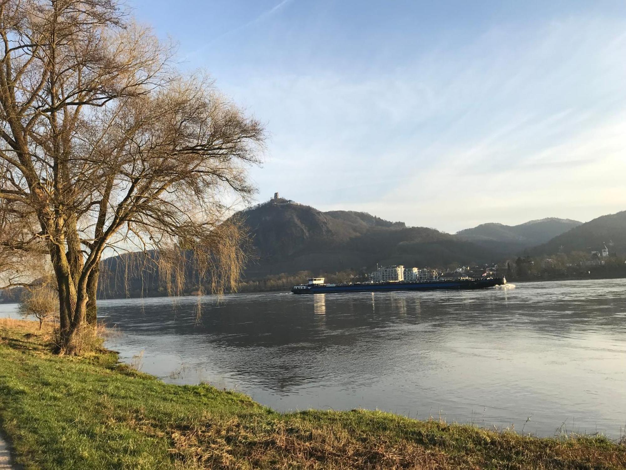 Ferienhaus Rheinperle Mit Garten In Remagen Am Rhein - Naehe Bonn Villa Eksteriør billede