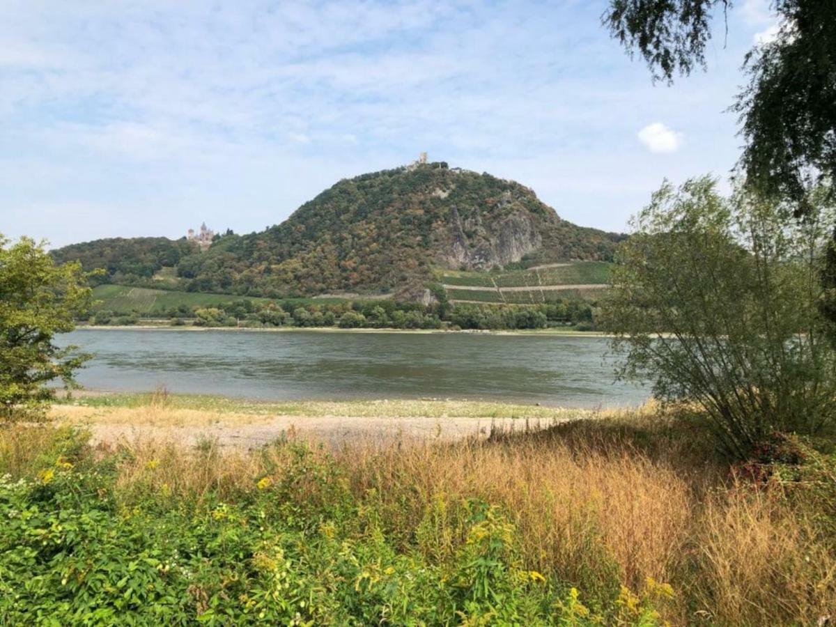 Ferienhaus Rheinperle Mit Garten In Remagen Am Rhein - Naehe Bonn Villa Eksteriør billede